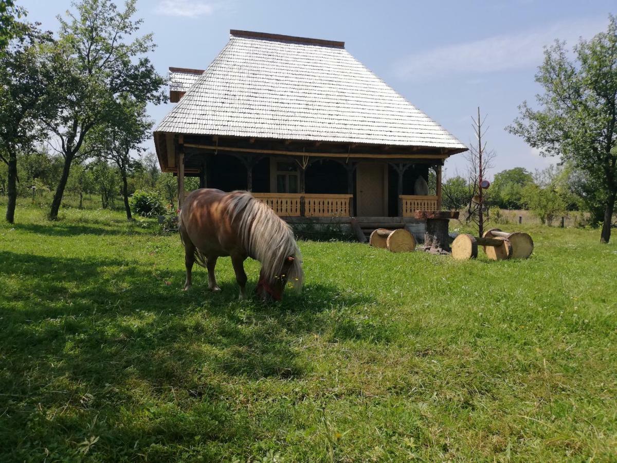 Apartamento Casuta Din Gradina Breb Exterior foto